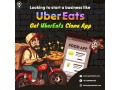 money-making-is-now-easy-with-our-ubereats-clone-script-small-0